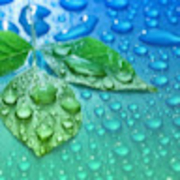 Meet your Posher, Frances - Picture 1 of 1